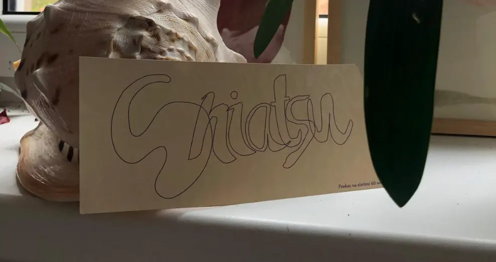 A beige card with the word 'Shiatsu' in large, stylized handwritten letters resting against a large seashell and partially obscured by a plant leaf.